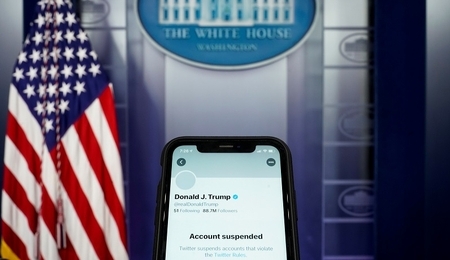 81242.jpg