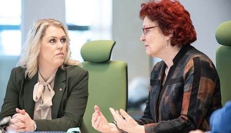 Visit_of_Swedish_Minister_for_Health_and_Social_Affairs_49468887622.jpg