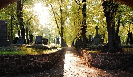 cmentarz-pixa.jpg