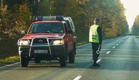 strazlesna.jpg