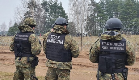 SG3.jpg