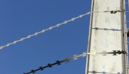 4141r3f.jpg