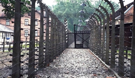 81790.jpg