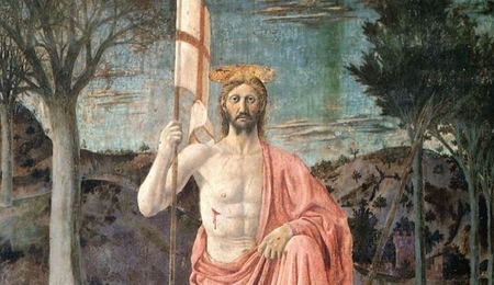 81955.jpg