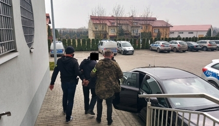 82449.jpg