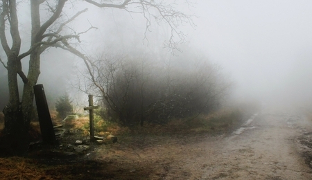 82425.jpg