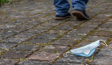 83068.jpg