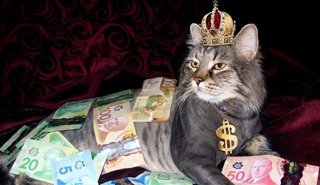 Pieniadze.jpg