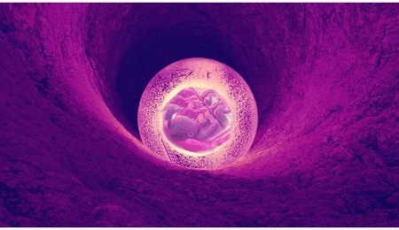 unborn-5375169_1280.jpg