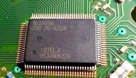 chip-fot-pixnio.jpg