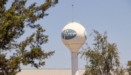 Pfizer.jpg