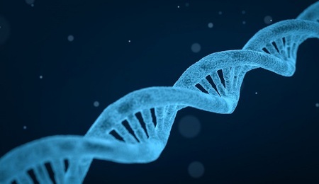 dna-pixa.jpg