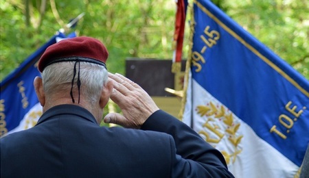 Francja-Armia.jpg