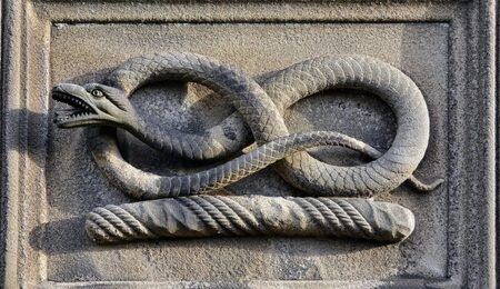 snake-3159050_1280-e1618660331542.jpg
