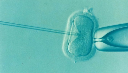 invitro.jpg