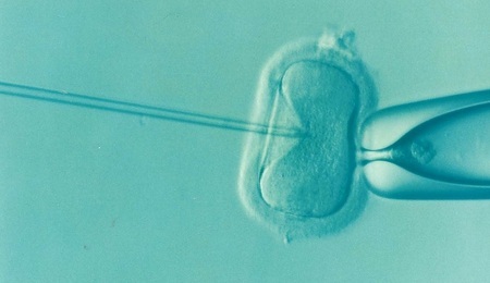 invitro.jpg