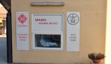 Okno-Zycia.jpg