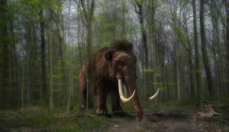 mammoth-3159562_960_720-e1631624907652.jpg
