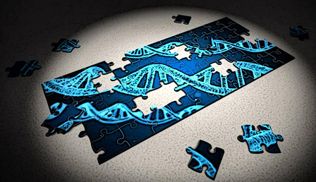 dna.jpg