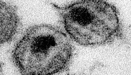 PIXNIO-825051-2782x2125-1-scaled-e1665493759752.jpg