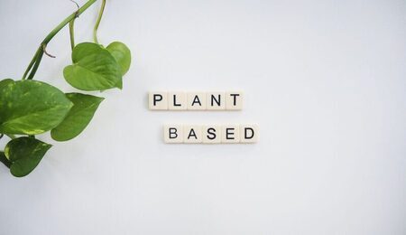 plant-based-gd06215125_1920-e1669798930721.jpg