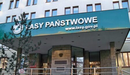 Lasy_panstwowe_z_bliska-scaled-e1669277268633.jpg
