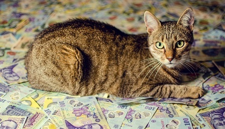 Pieniadze-20.jpg