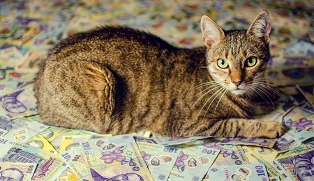 Pieniadze-20.jpg