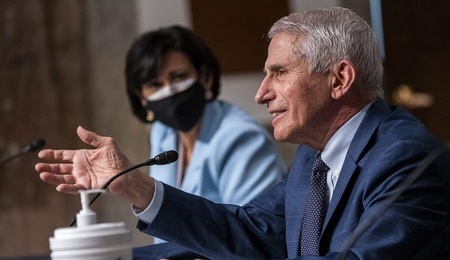 fauci.jpg