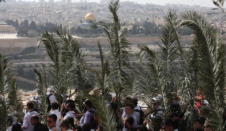 mid-epa09882448.jpg