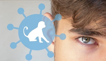 monkey-pox-g7d34b879b_1280.jpg