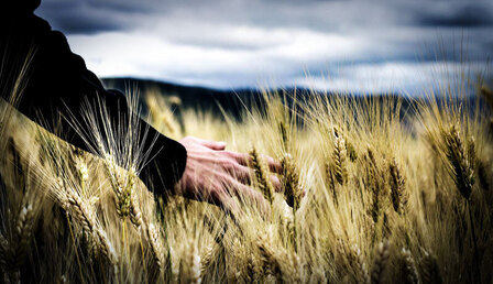 freedom-g50d682895_.jpg