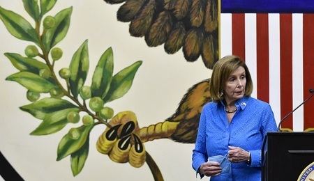 pelosi1.jpg