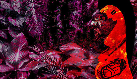 pachamama-jungle.jpg