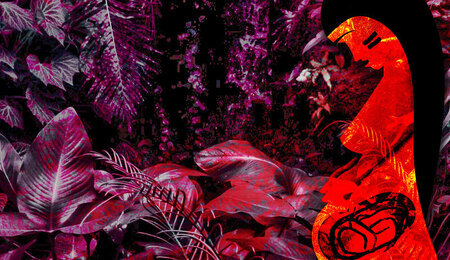 pachamama-jungle.jpg