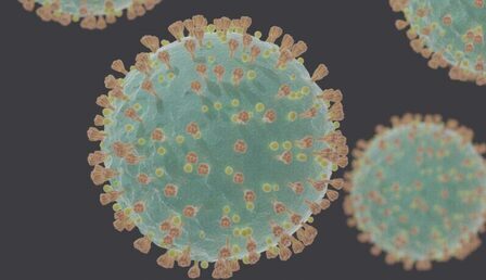Coronavirus_SARS-CoV-2-e1659948114482.jpg