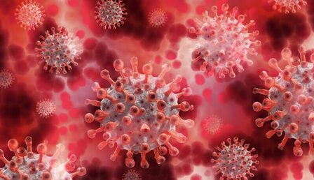 coronavirus-g2e5bd8353_1920-e1663696245207.jpg