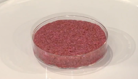 First_cultured_hamburger_unfried-e1674128800827.png