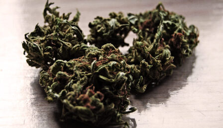 Marihuana-scaled-e1697531811513.jpg