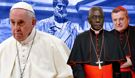 Burke-Sarah-Francis_portal.jpg