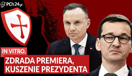 In-vitro-Morawiecki-Duda-1.jpg