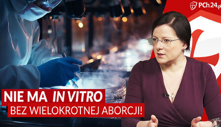 Godek-in-vitro.jpg