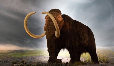 mamut.jpg