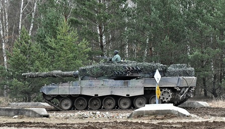 leopard2.jpg