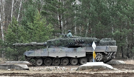 leopard2.jpg