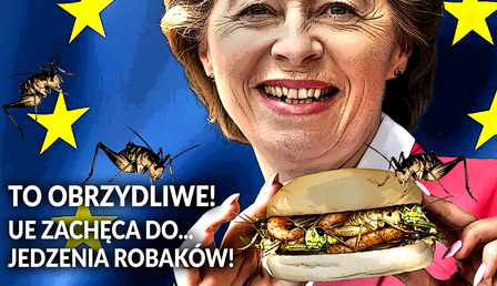 robaki-von-der-Layen.png