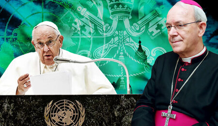 bp-Schneider-i-Francis.jpg