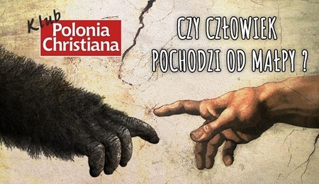 min_15915.jpg