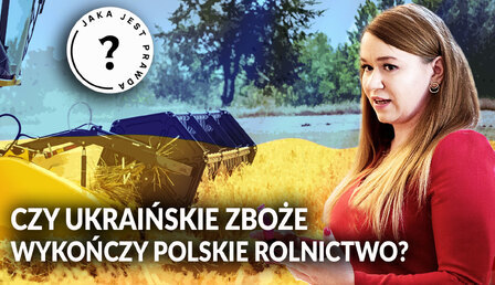 Jaka-jest-prawda_Monika-Przeworska-zboze.jpg