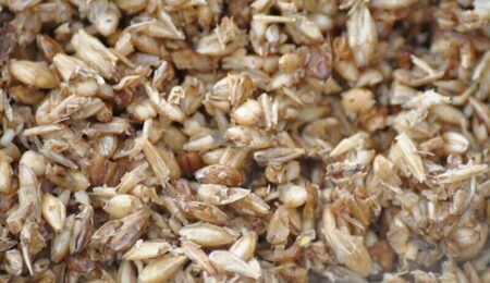 Spent_grain-scaled-e1681461063224.jpg